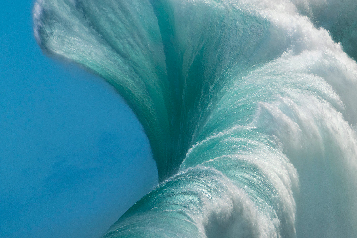 Fleeting Perspectives - X