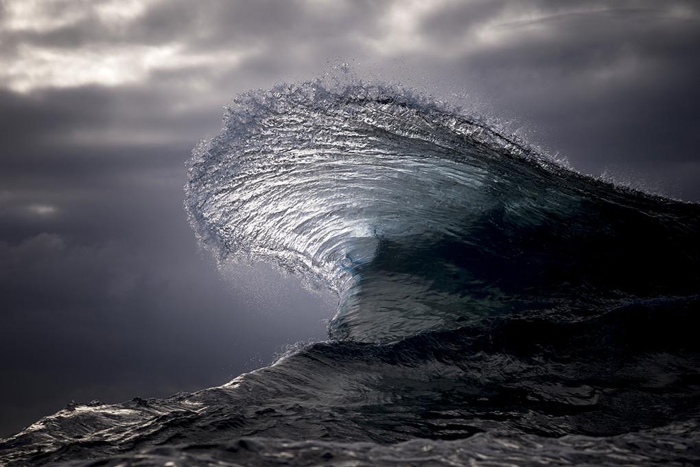 Clamshell – Ray Collins Photo