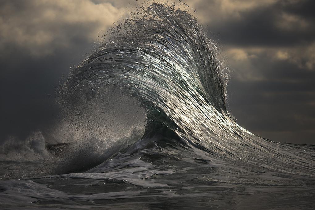 Pilorum – Ray Collins Photo